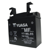 Yuasa YT19BL-BS AGM Maintenance-Free Battery - YUAM6219BL