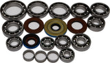 All Balls Differential Bearing Kit for Polaris Ranger 500 / RZR 900 - 25-2085