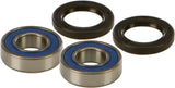 All Balls Front Wheel Bearing Kit for Honda TRX250 / TRX300 Models - 25-1112